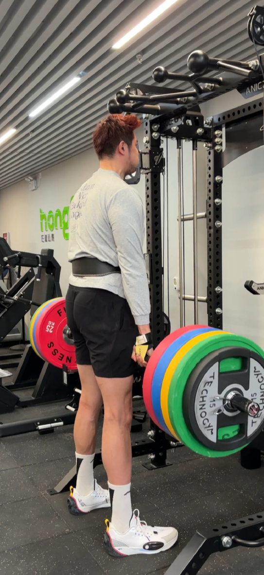 https, 若是能恢复, 旧是一支季